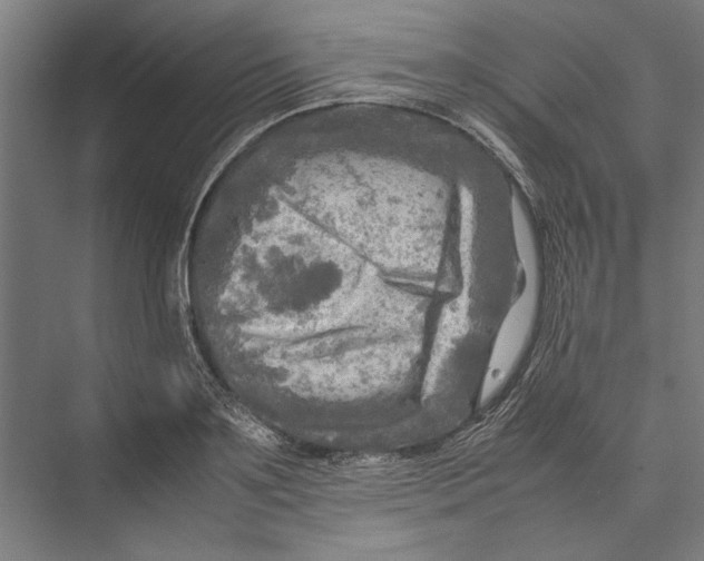 X0000075380891200610061836