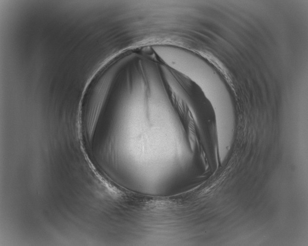 X0000075380894200610061836