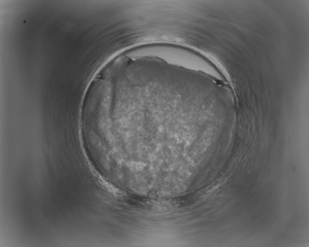 X0000075380895200610061836