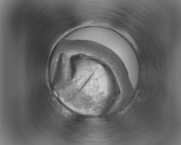 X0000075380896200610061836