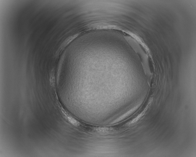 X0000075380897200610061836