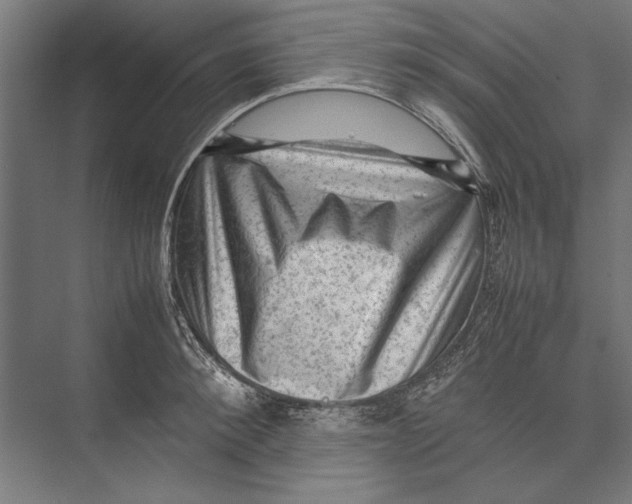 X0000075380900200610061836