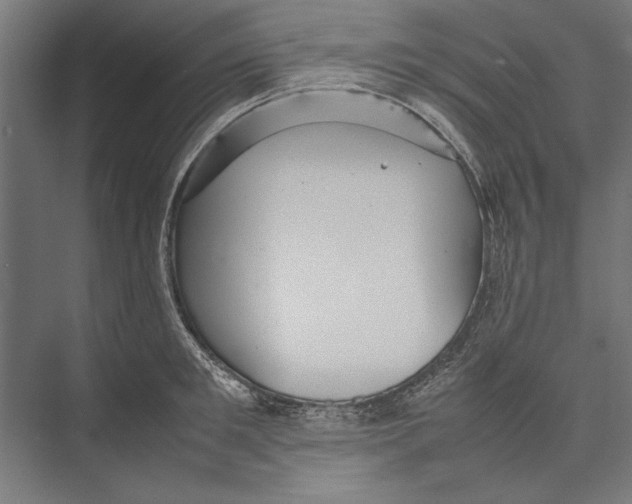 X0000075380901200610061836