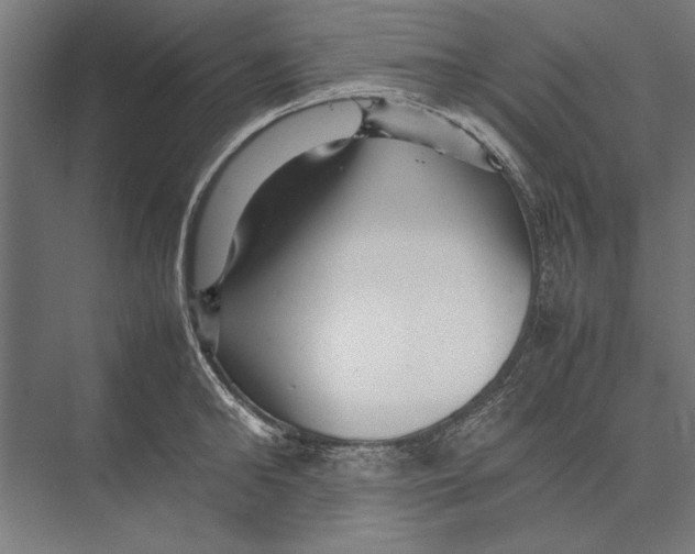 X0000075380902200610061836