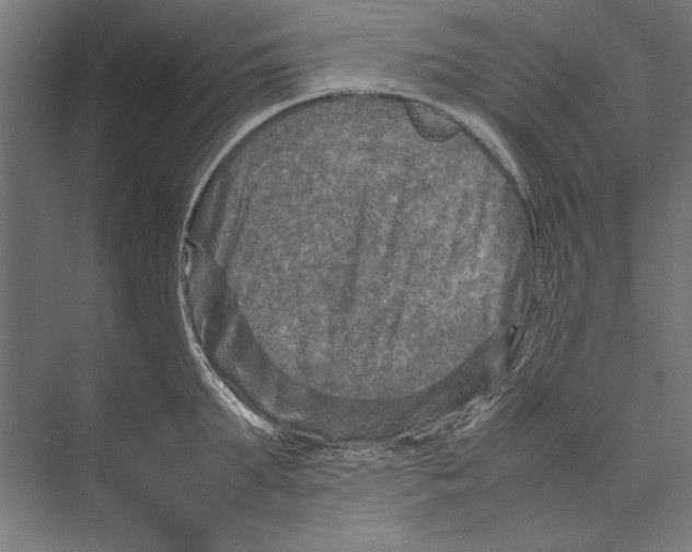 X0000075380903200610061836