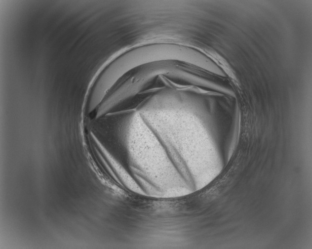 X0000075380904200610061836