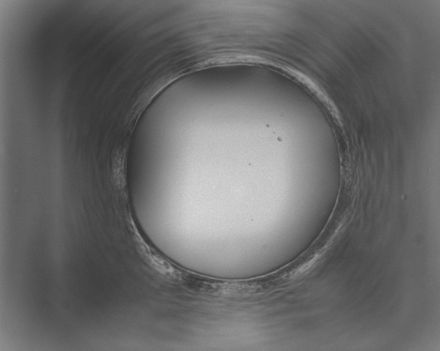 X0000075380905200610061836