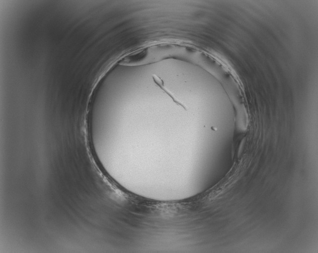 X0000075380906200610061835