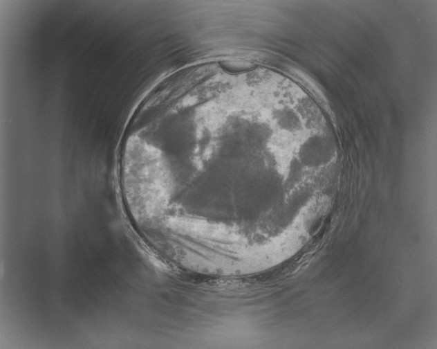 X0000075380907200610061835