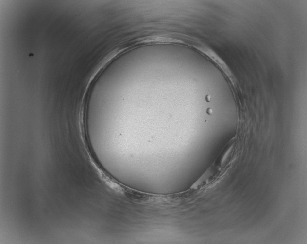 X0000075380909200610061835