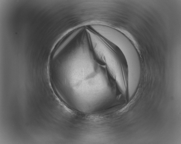 X0000075380910200610061835