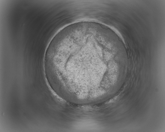 X0000075380911200610061835