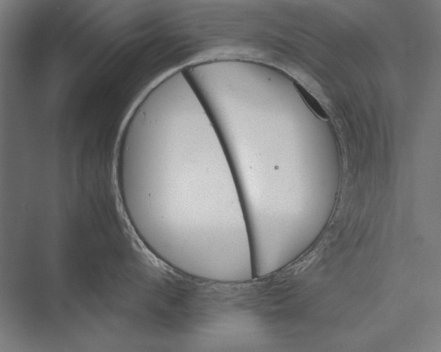 X0000075380912200610061835