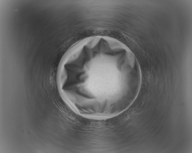 X0000075380914200610061835