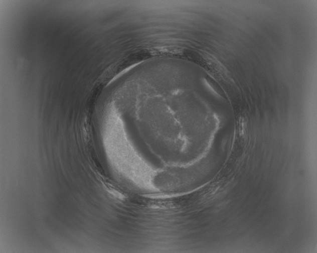 X0000075380915200610061835