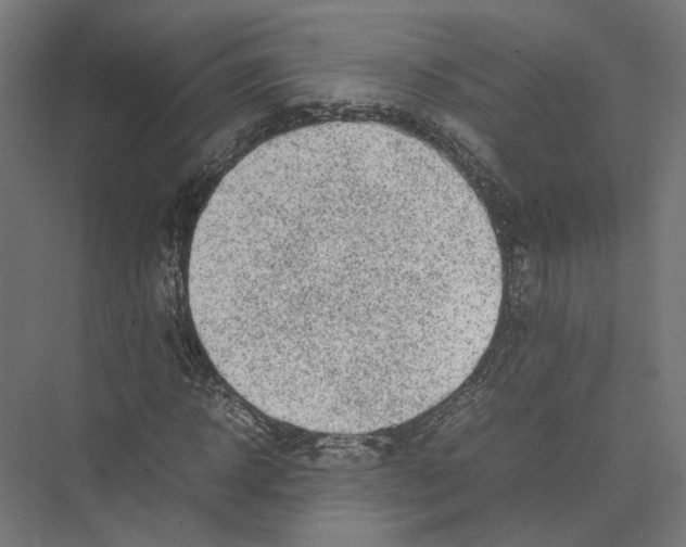 X0000075380918200610061835