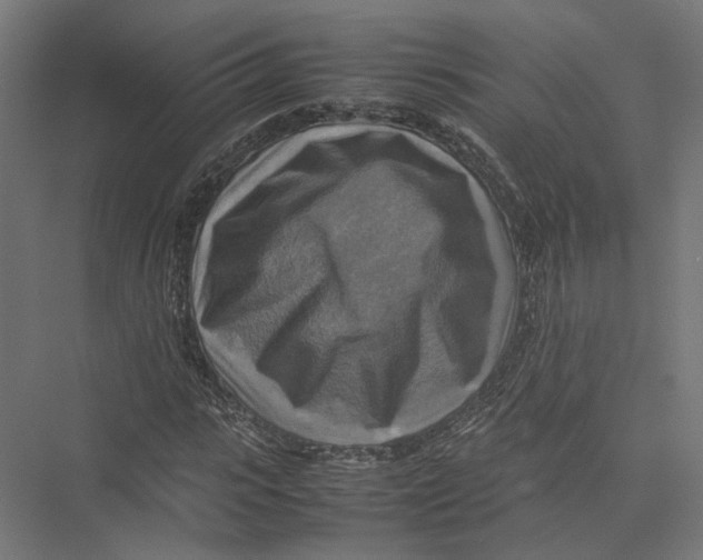 X0000075380919200610061835