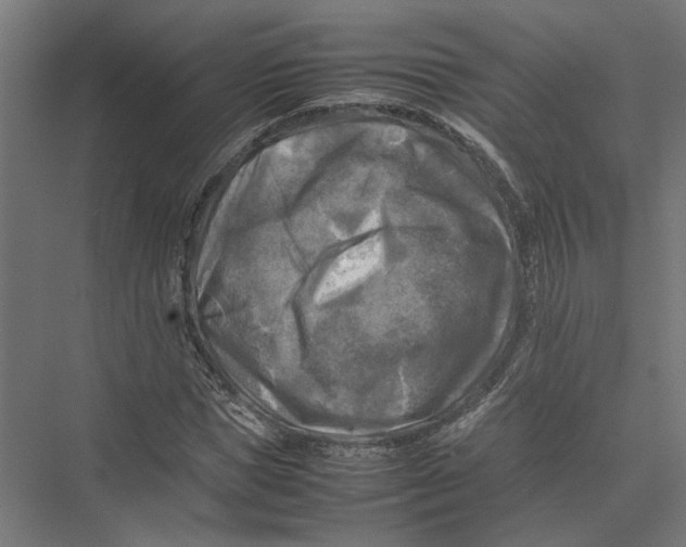 X0000075380921200610061835