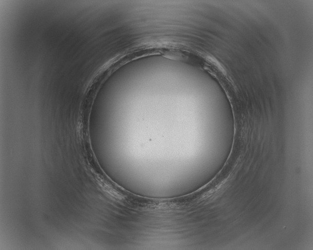 X0000075380922200610061835