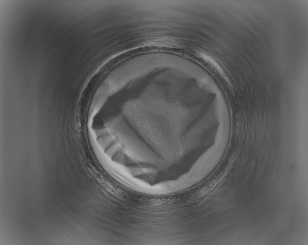 X0000075380923200610061835