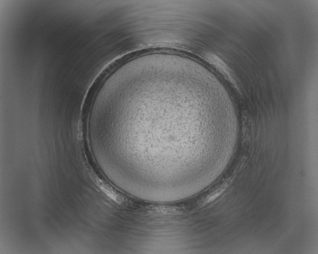 X0000075380924200610061835