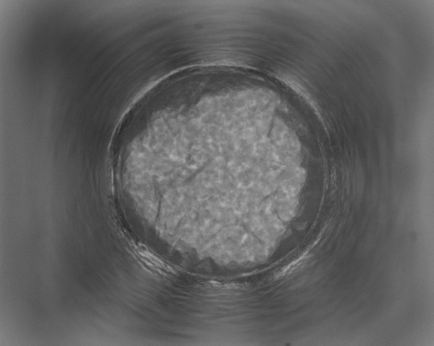 X0000075380925200610061835