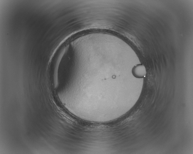 X0000075380926200610061835