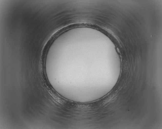 X0000075380927200610061835