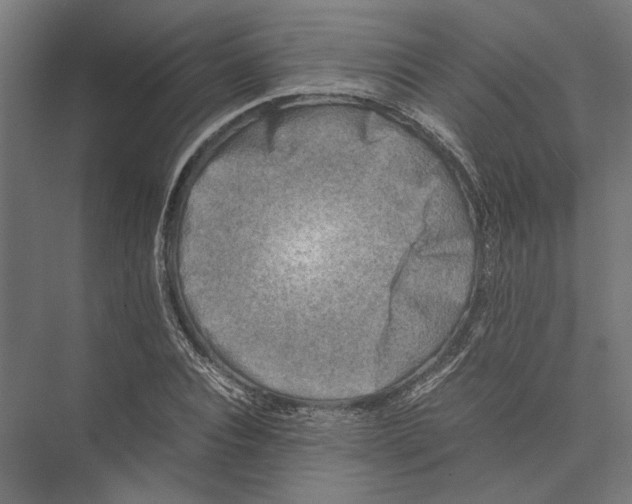 X0000075380928200610061835