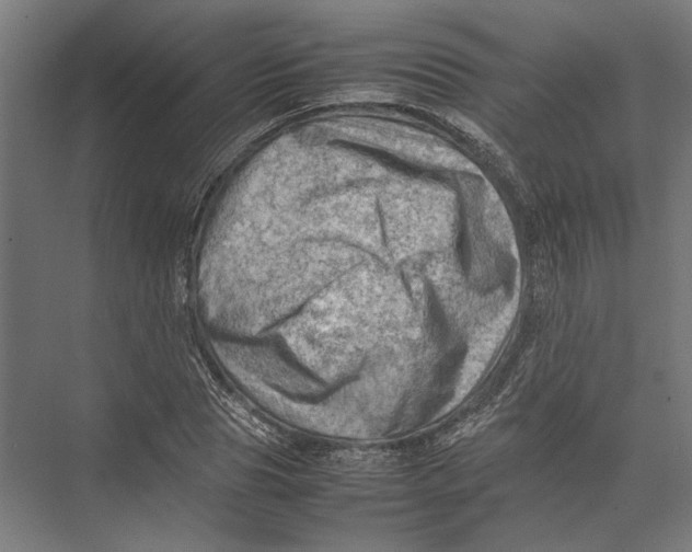 X0000075380929200610061835