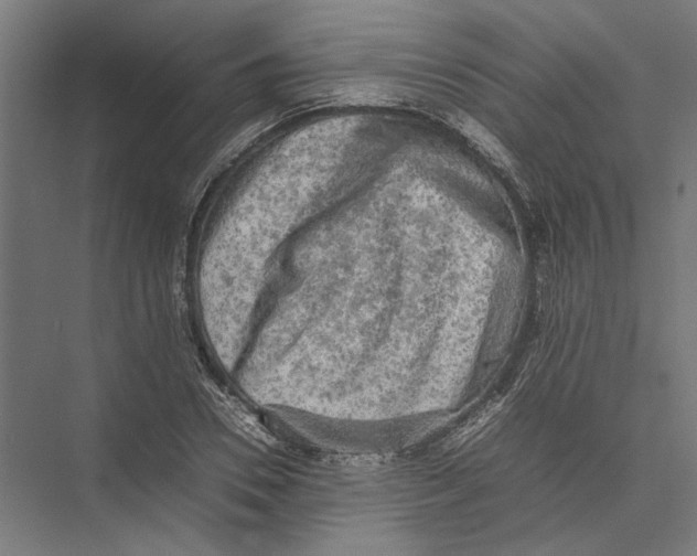 X0000075380930200610061835