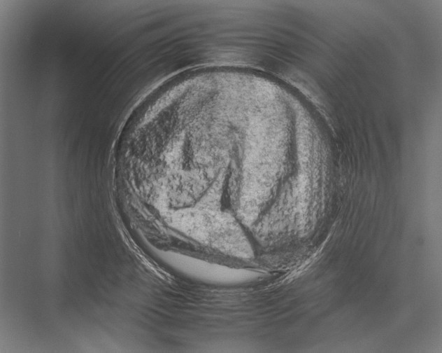 X0000075380933200610061835