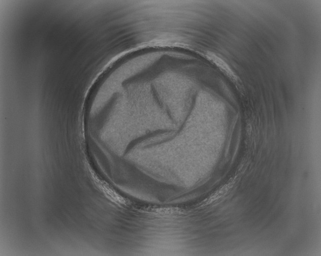 X0000075380934200610061835