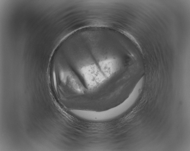 X0000075380935200610061835