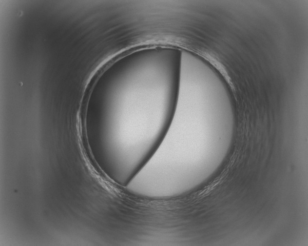 X0000075380936200610061835