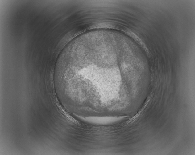 X0000075380937200610061835