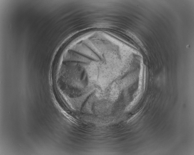 X0000075380939200610061835