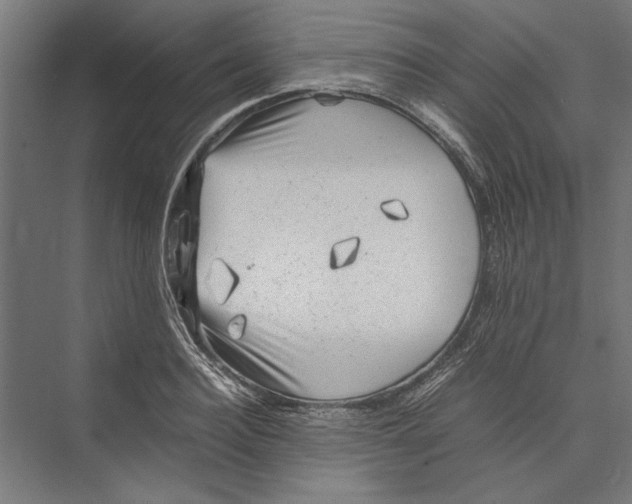 X0000075380940200610061835