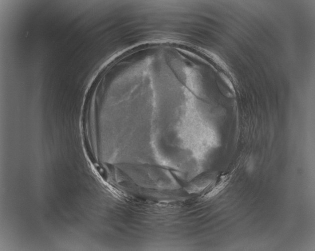 X0000075380943200610061835