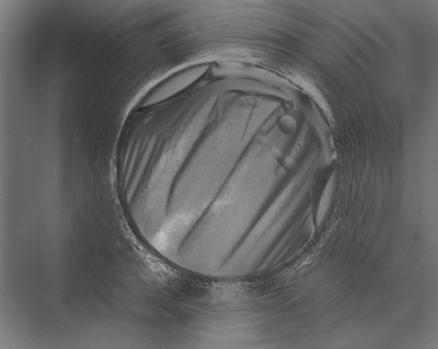 X0000075380944200610061835