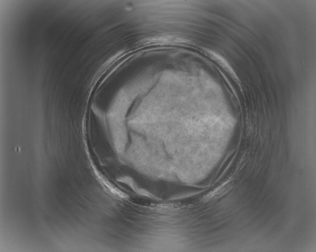 X0000075380946200610061835