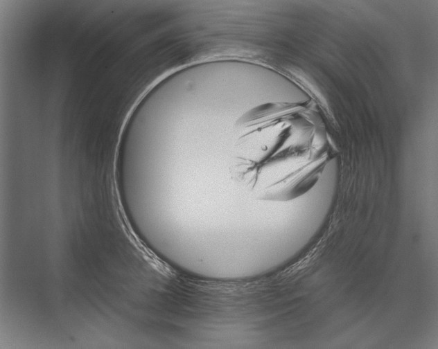 X0000075380948200610061835