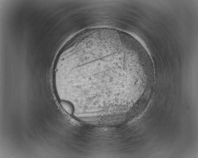 X0000075380949200610061835