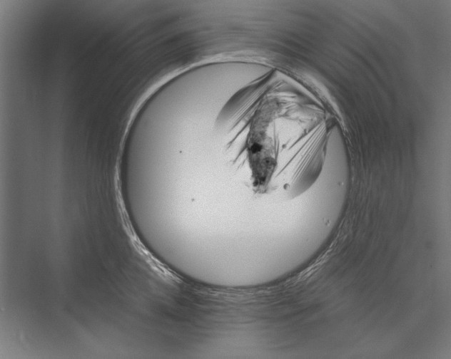 X0000075380952200610061835