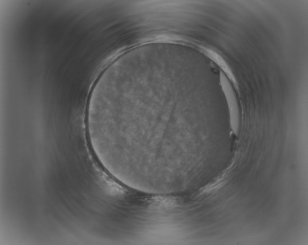 X0000075380954200610061835