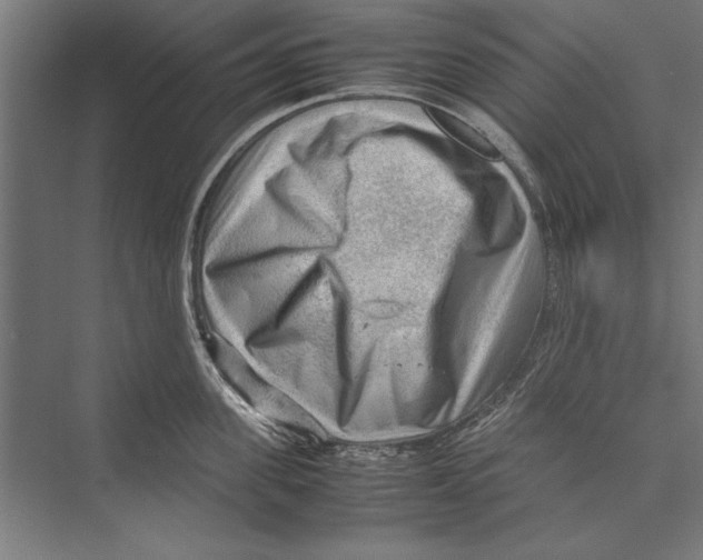 X0000075380955200610061835