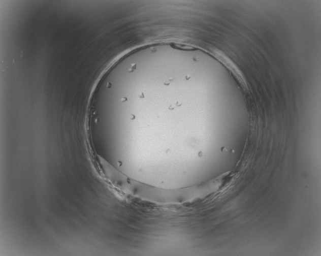 X0000075380956200610061835