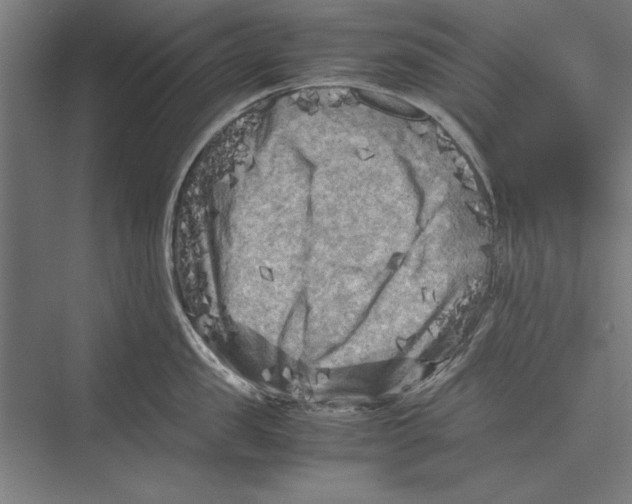 X0000075380957200610061835