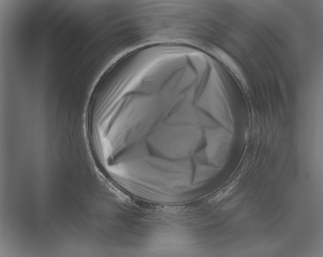 X0000075380958200610061835