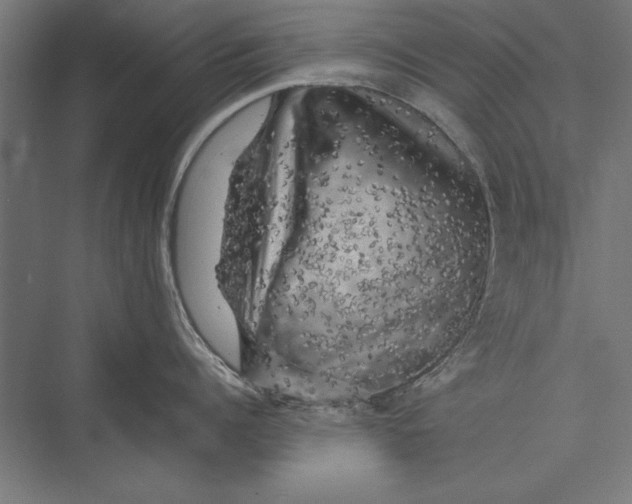 X0000075380960200610061835